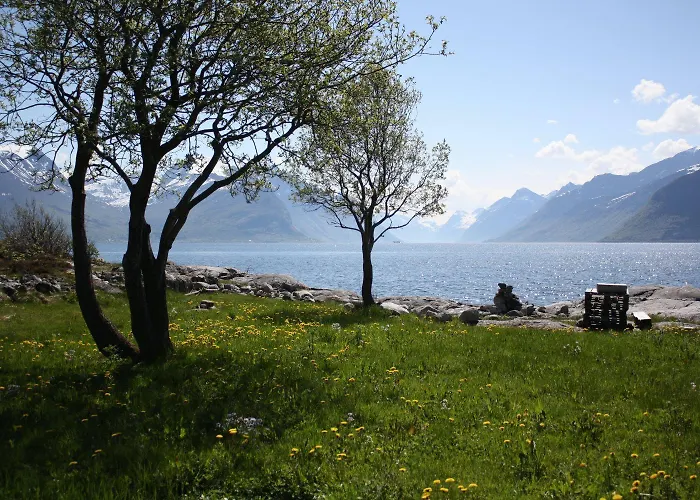 Sunde Fjord Hotel, Free And Easy Parking 3* Solavagen